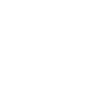 Home Icon