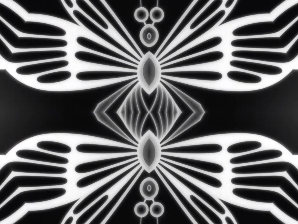 Decorative geometric insect wing background.