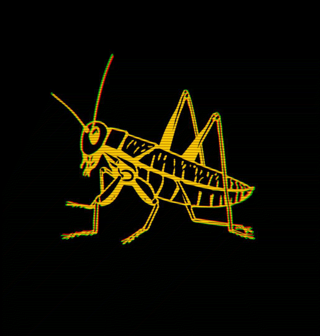 The Grasshopper Choice
